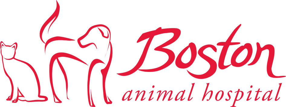 Boston Animal Hospital logo