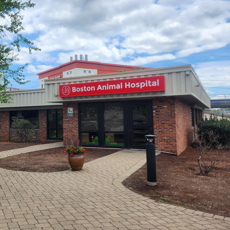 Boston Animal Hospital Southhampton office building