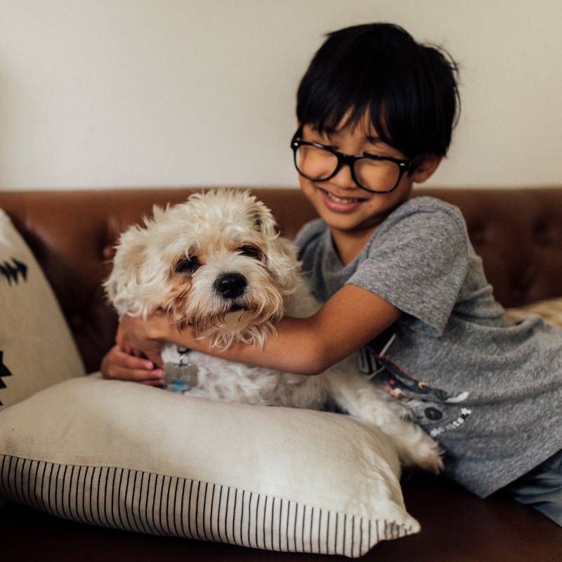 A boy hugs a white dog on a couch A boy hugs a white dog on a couch