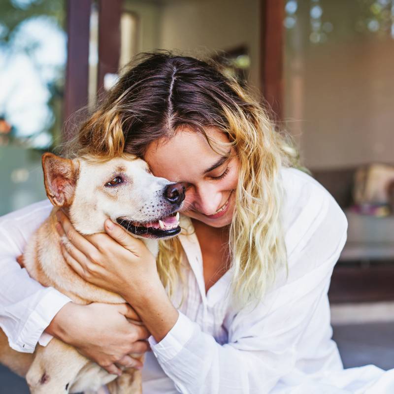 A person in a white shirt hugs a light brown dog affectionately