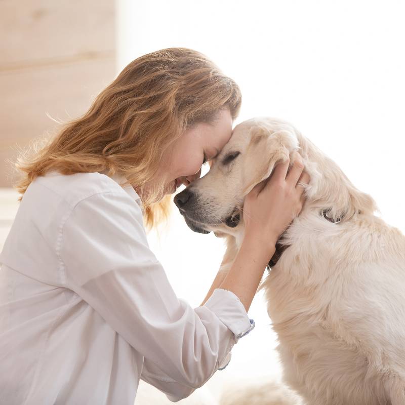 A woman cuddles a golden retriever