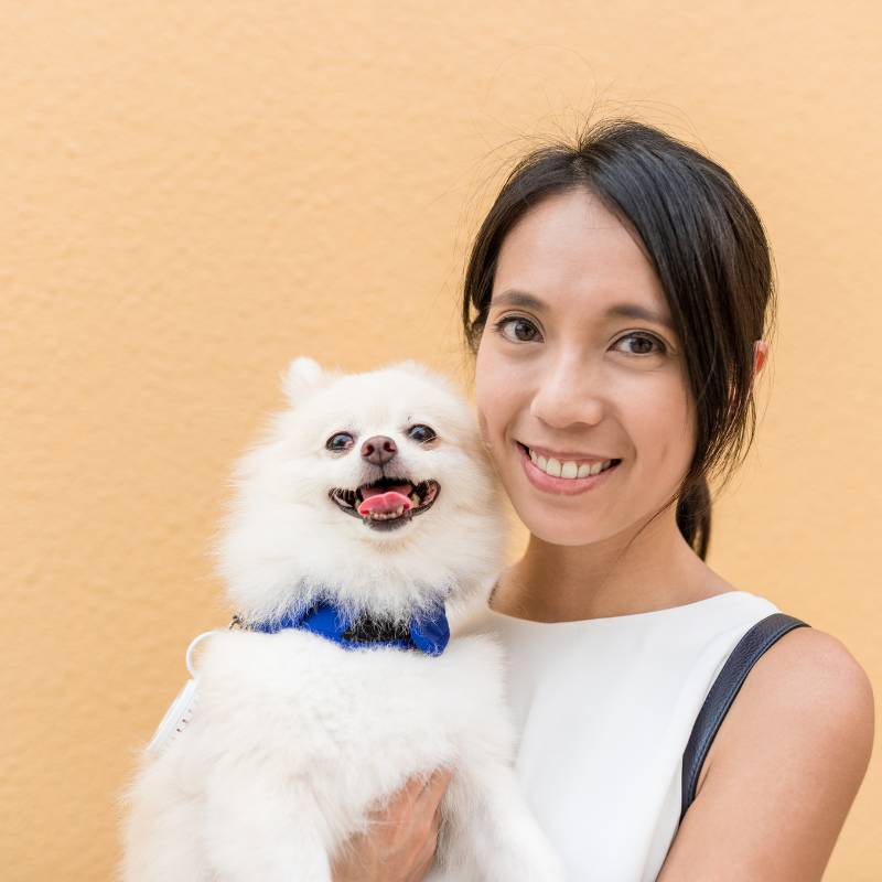 A woman holds a white Pomeranian with a blue bow
