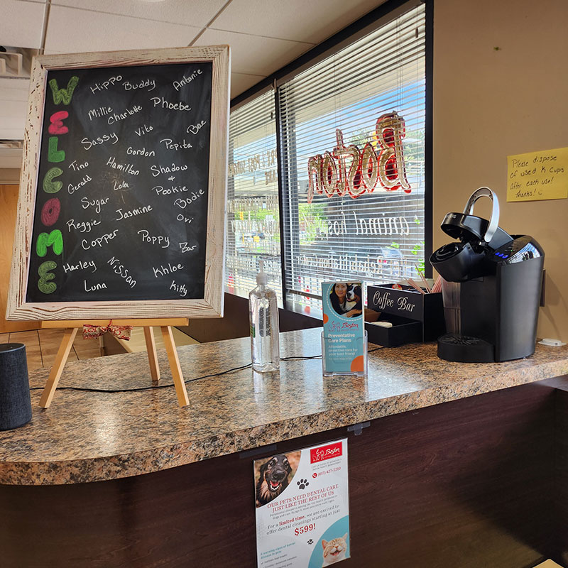 veterinary lobby inside