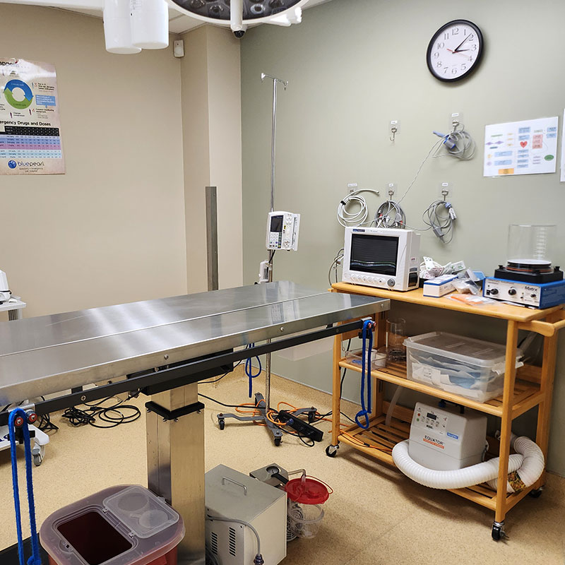 Surgery-Southampton Surgery room with equipment