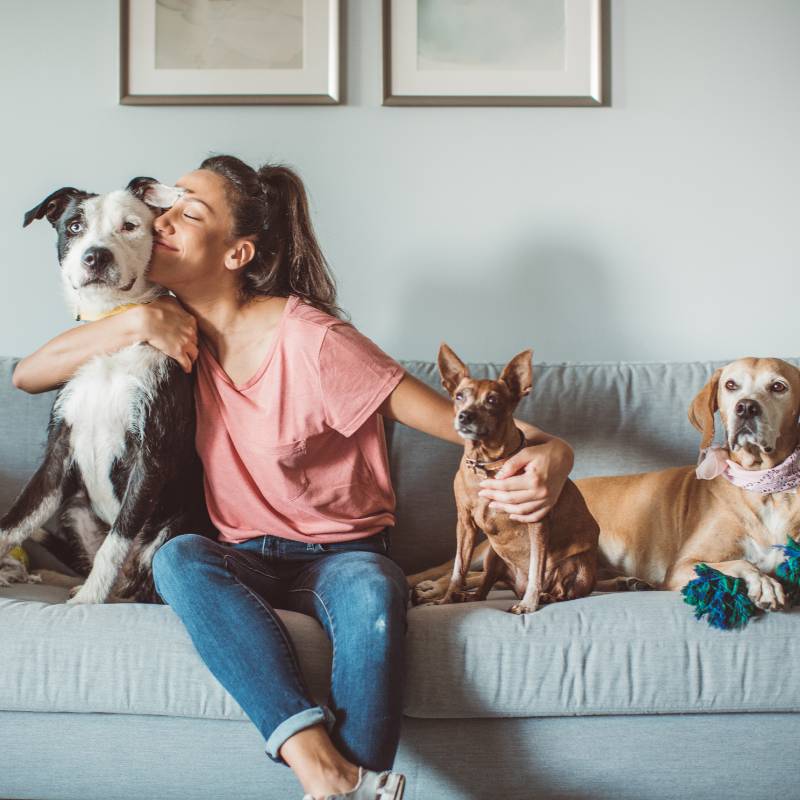 Woman hugs black-and-white dog, holds brown dog, with tan dog in pink bandana on couch.