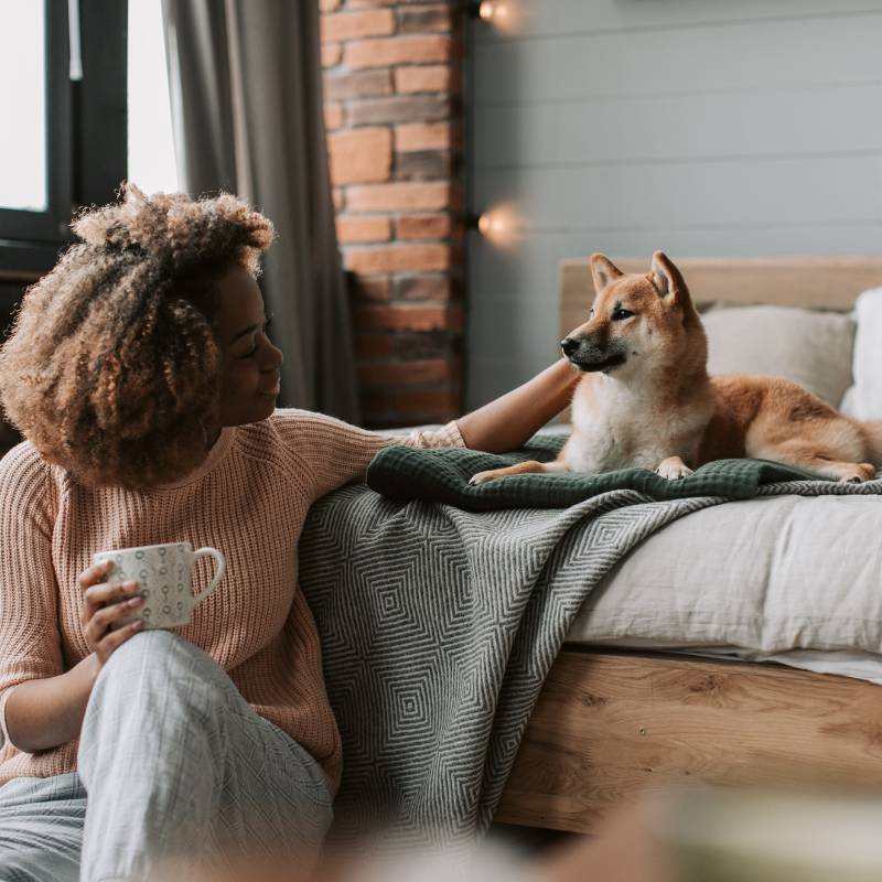 Woman sitting with a mug, petting a dog on the bed Woman sitting with a mug, petting a dog on the bed