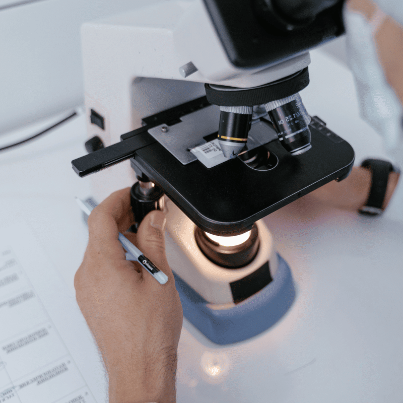 An older golden retriever with a cone collar is petted